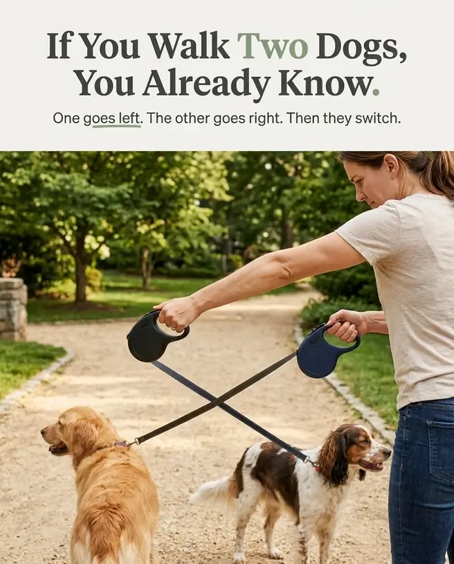 Owner juggling two separate retractable leashes as the leashes cross